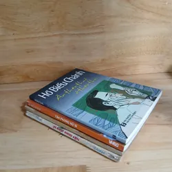 Tác Giả Hồ Biểu Chánh (4 Cuốn) 476473