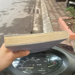 Mẹ sẽ không để con ở lại - Dương Thanh Nga - 2017 - sách tốt  1027314