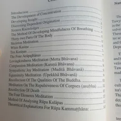 The Practice Which Leads To Nibbāna - Pa Auk Sayadaw 1019734