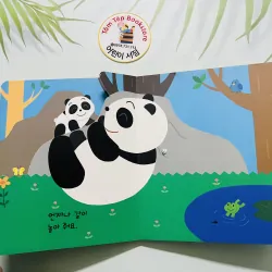 Set boardbook B19 tiếng Hàn ít chữ 784651