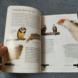 ĐẠI BÀNG - TỦ SÁCH KIẾN THỨC THẾ HỆ MỚI 720727