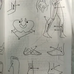 BẤM HUYỆT CÁCH CHỮA VÀ SỰ ÍCH LỢI - FM. HOUSTON, DC 996086