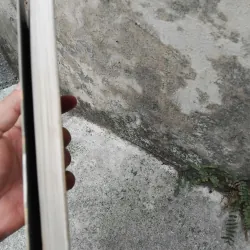 Hồi kí Thương Tín một đời giông bão  1028247