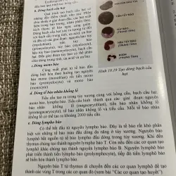 Mô học - PGS.TS.BS. PHAN CHIẾN THẮNG ; PGS.TS.BS. TRẦN CÔNG TOẠI; 240 trang khổ lớn  1021338