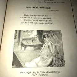 Nguyễn Du Và Truyện trong cảm hứng thơ người đời sau- từ 1930 đến nay  937387