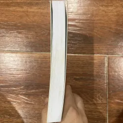 Alex - Pierre Lemaitre (7) 994013