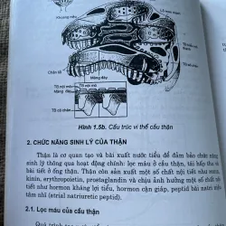 Bệnh thận - PGS.BS. Trần Văn Chất 792212