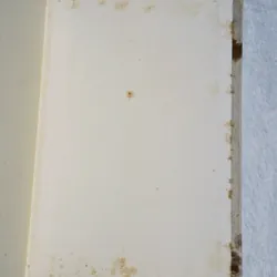 Combo 2c Bạch Lạc Mai (bìa cứng)  701865