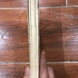 Buồn Nôn - Jean Paul Sartre 408799