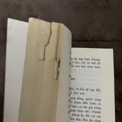 Trầu cau việt điện thư 674049