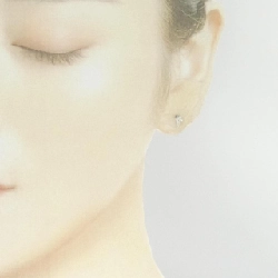 PT/PT900 Bông tai kim cương 0.10CT - Hàng hiệu Chính hãng 867477