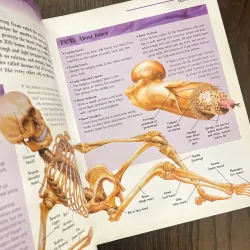 ✨𝑻𝒉𝒆 𝑩𝒊𝒈 𝑩𝒐𝒐𝒌 𝒐𝒇 𝑲𝒏𝒐𝒘𝒍𝒆𝒅𝒈𝒆✨ 697523