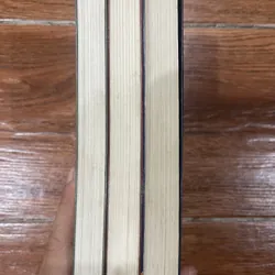CẬU BÉ TRỘM MA THUẬT bộ 3 tập - SARAH PRINEAS (4) 596458