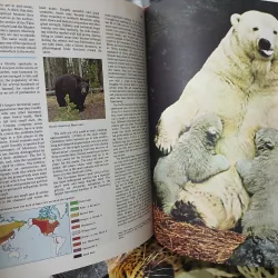 ENCYCLOPEDIA OF THE ANIMAL WORLD - BÁCH KHOA TOÀN THƯ VỀ THẾ GIỚI ĐỘNG VẬT (21 TẬP) 575435