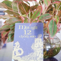 MẬT NGỮ 12 CHÒM SAO