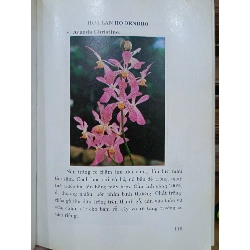 Kỹ thuật trồng hoa lan và cây kiểng - Thanh Tâm, Quốc Bảo (biên soạn) 1066667