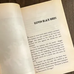 ✨𝑺𝒕𝒂𝒓 𝒊𝒏 𝒕𝒉𝒆 𝑺𝒕𝒐𝒓𝒎✨ 713511