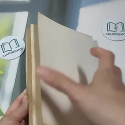 Nghệ Thuật Sống (1995) 727354