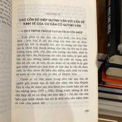 VĂN HÓA QUỲNH VĂN, sách nghiên cứu khảo cổ học Việt Nam (xb 1998) 550418