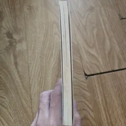 The Spiderwick Chronicles Diterlizzi & Black book 3
20k 673813