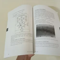 Publication manual of the american Psychology association  596214