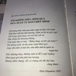 Nắng bạch dương  997407