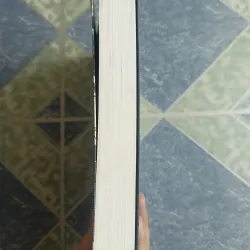 Gái công xưởng - Leslie T. Chang 564834