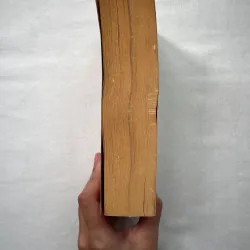 America Inside Out - David Schoenbrun 1028890