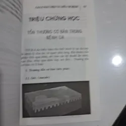 Các bệnh về da liễu phát hiện và điều trị 995555