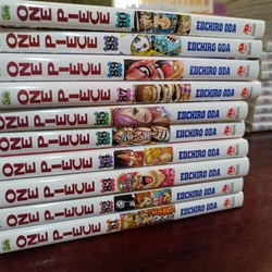 Combo 10 cuốn One Piece bìa áo tùy chọn 222554