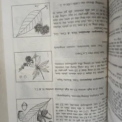 CÂY CỎ VIỆT NAM (QUYỂN I, II, III) - PHẠM HOÀNG HỘ 740112