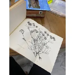 Index Horti Botanici 1788 ( Latin ) 560684