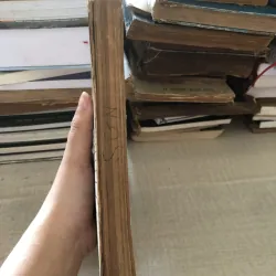 Thủy triều vùng biển Việt Nam 972150