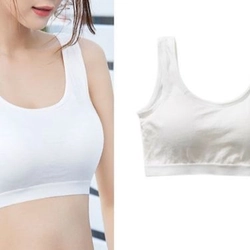 Áo lá học sinh vải cotton kiểu dáng thể thao dạng chui đầu thấm hút tốt 215811