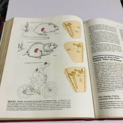 THE NATURE OF LIFE – John H. Postlethwait & Janet L. Hopson 780372