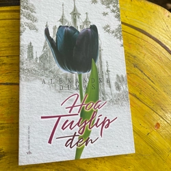 Combo Trà hoa nữ- Hoa Tuylip đen- Alexandre Dumas 476429
