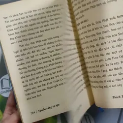 Nguồn Sáng Vô Tận - Thích Thái Hòa 990452