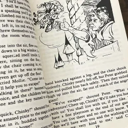 The Adventures of the Wishing-Chair 972770