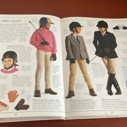 PICTURE BOOK The young rider 534277