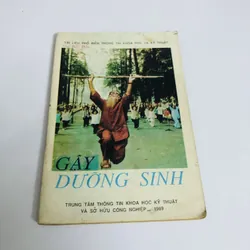 GẬY DƯỠNG SINH 