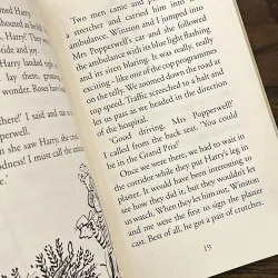 The Mega Quiz: No. 1 Boy Detective 975026