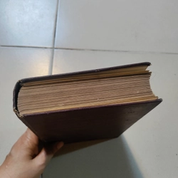 Danh từ đối chiếu tên các loài cá có giá trị kinh tế ở miền tây thái bình dương  477157
