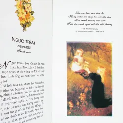 Ngôn ngữ loài hoa 11505