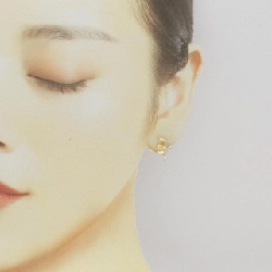 Bông tai Tiffany Beans - Hàng hiệu chính hãng 847333