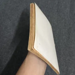 Trầm tư - Võ Hồng 1023252