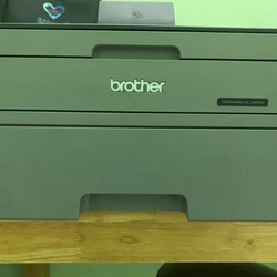 Brother HL-L2321D 442923