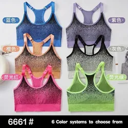 Quần áo thể thao 735534