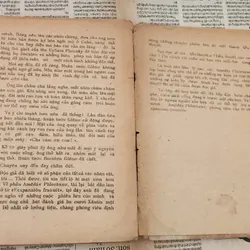 Jules Verne: CUỘC PHIÊU LƯU KỲ LẠ CỦA ĐOÀN BARSAC 728214