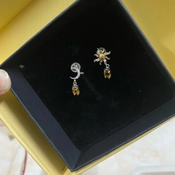 Hoa Tai Bạc sao trăng  536461