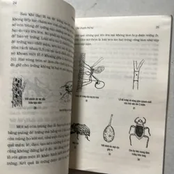 Phiêu lưu côn trùng (2 tập) 627310